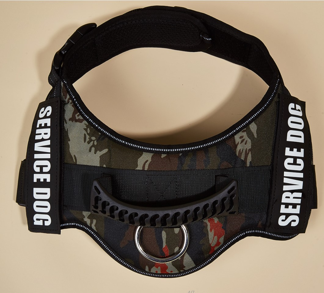 Reflexsele & Koppel för Hund – Komplett Set
