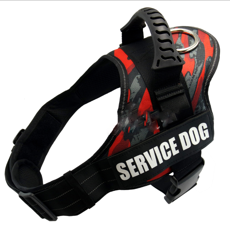Reflexsele & Koppel för Hund – Komplett Set