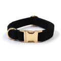 Halsband i Sammet med Guldspänne – Elegant & Säkert