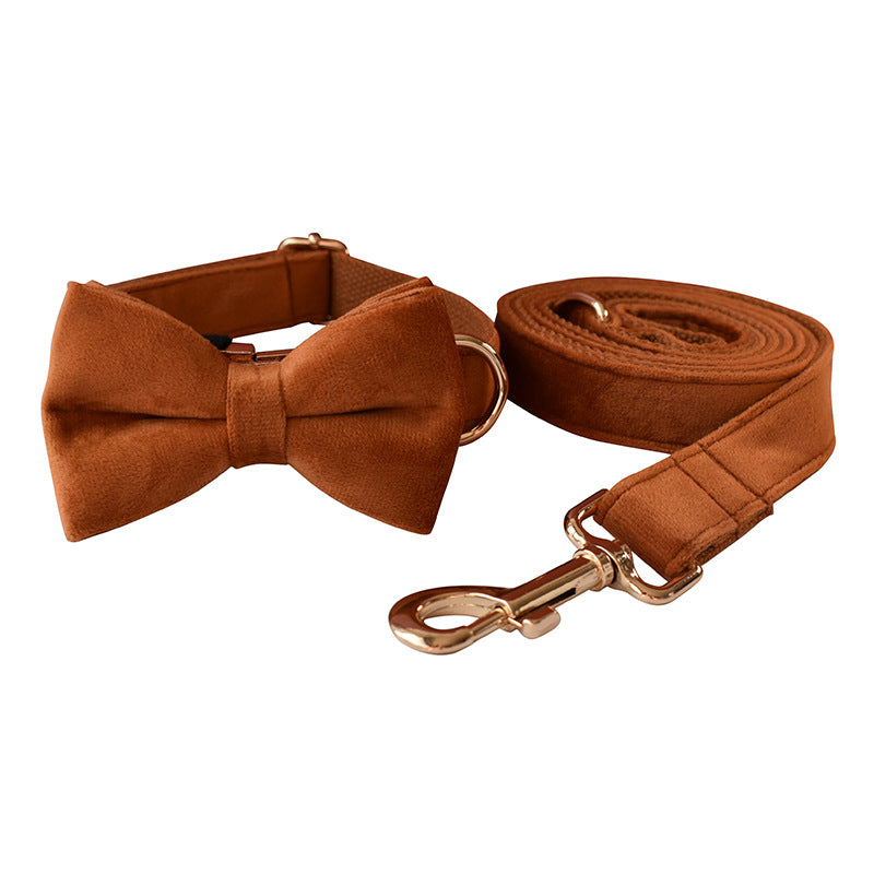 Hundshalsband i Sammet med Guldspänne – Lyxigt & Elegant