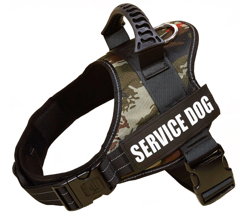 Reflexsele & Koppel för Hund – Komplett Set