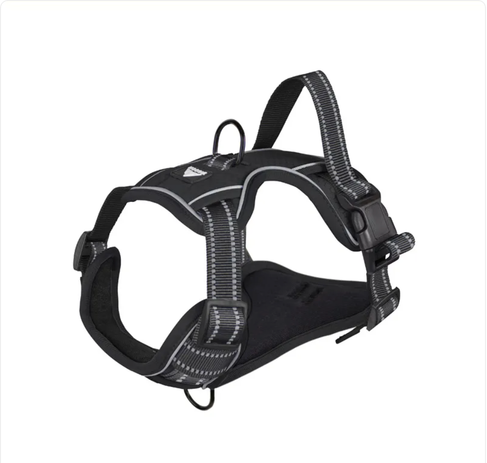 Reflexsele för Hund – Justerbar & Hållbar