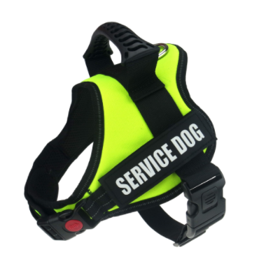 Reflexsele & Koppel för Hund – Komplett Set