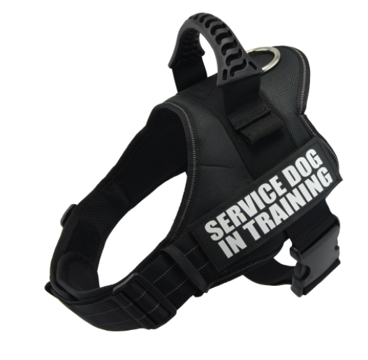 Reflexsele & Koppel för Hund – Komplett Set