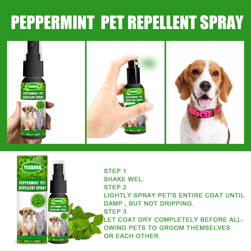 Mint Kvalster- & Svampspray för Hund & Katt – 60 ml