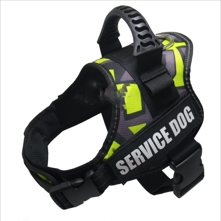 Reflexsele & Koppel för Hund – Komplett Set