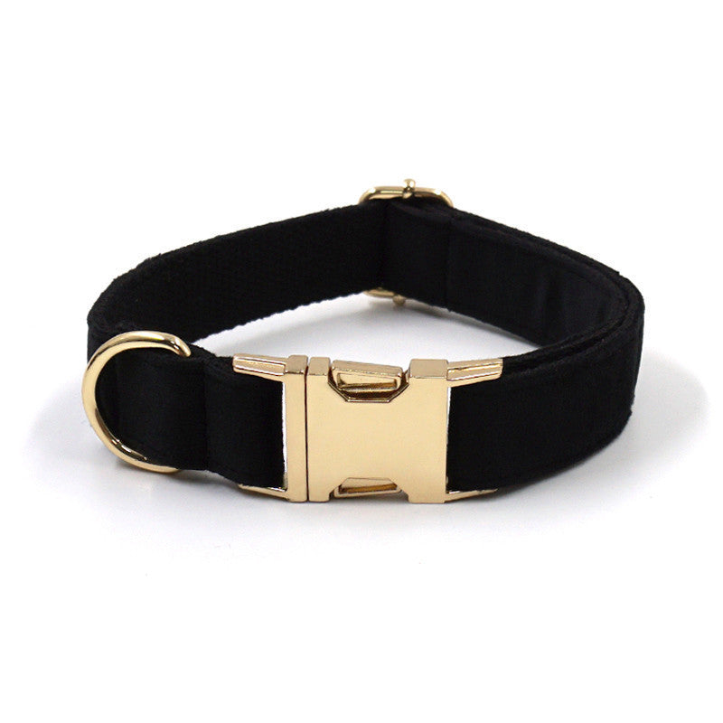 Halsband i Sammet med Guldspänne – Elegant & Säkert