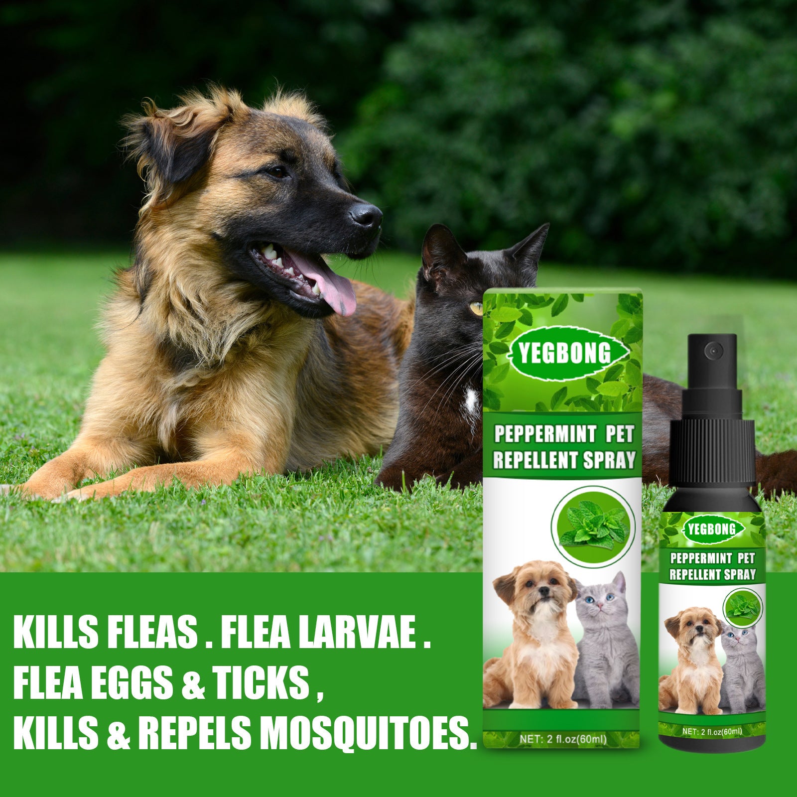 Mint Kvalster- & Svampspray för Hund & Katt – 60 ml