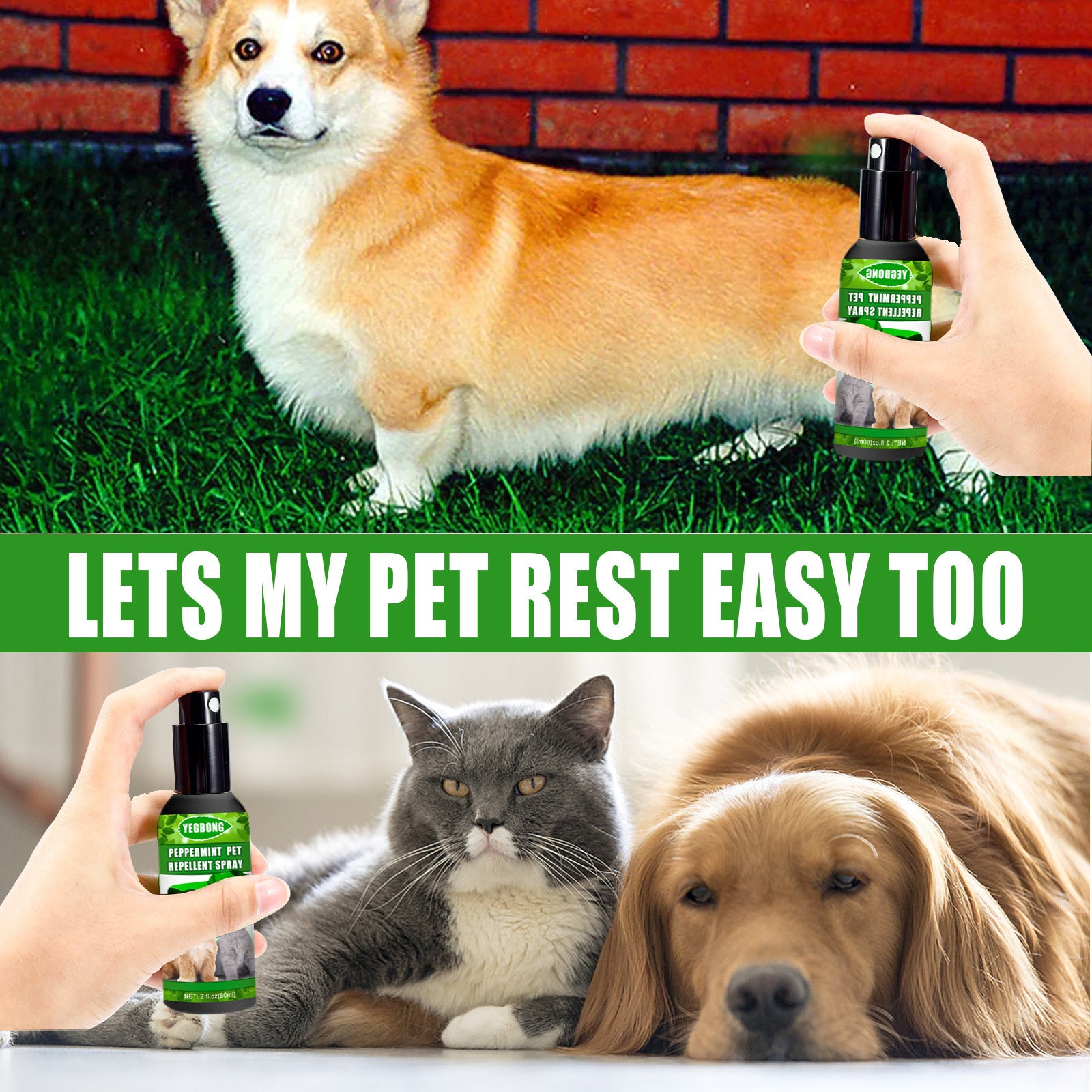 Mint Kvalster- & Svampspray för Hund & Katt – 60 ml